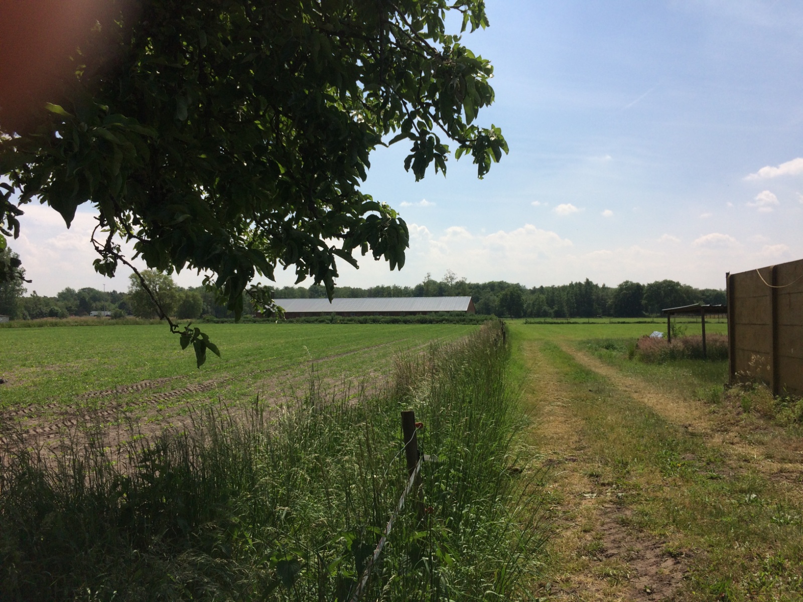 Bouwgrond te koop Vosselaar ref. 3397102 ROSIERS & DE RIDDER