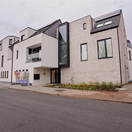 Project Te koop Bornem