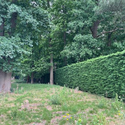 Appartement Te koop Bornem