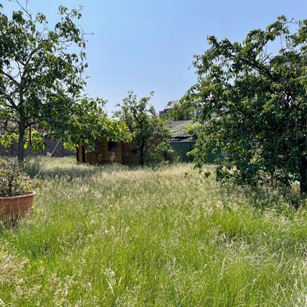 Bouwgrond Te koop Bornem