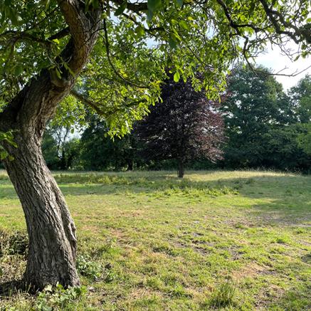 Woning Te koop Berlare