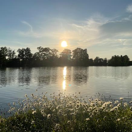 Appartement Te huur Berlare